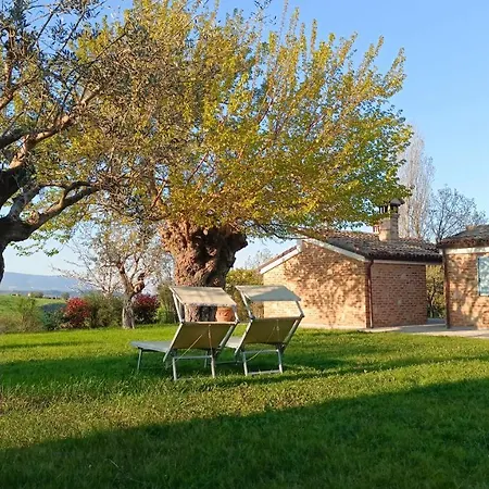 Audaces Casa Saraceni