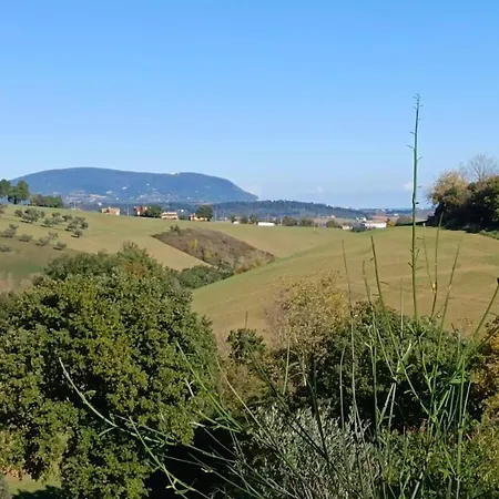 Audaces Frühstückspension Recanati