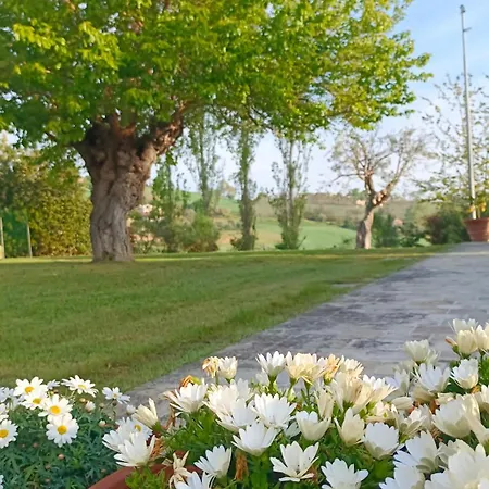 Audaces Frühstückspension Recanati