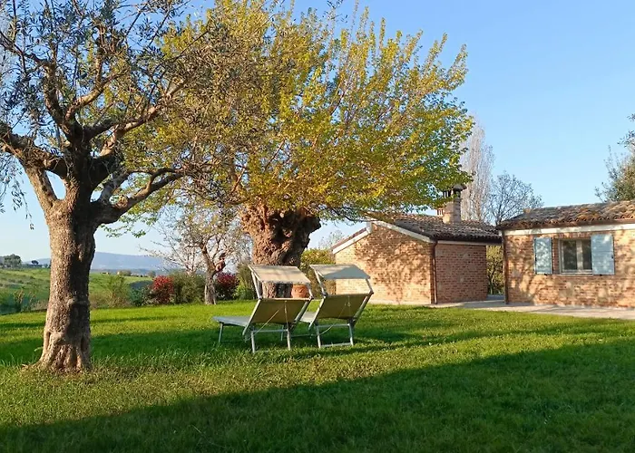 Audaces レカナーティ